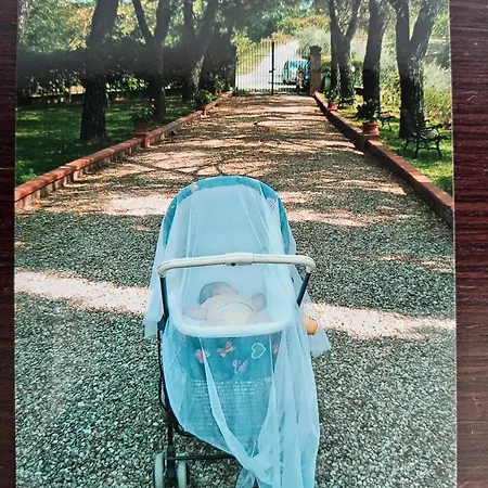 Remignoli *